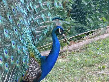 Appartement de vacances �/en/au MOASCA (Asti)ou appartement ou maison de vacances