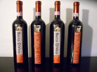 Appartement de vacances �/en/au MOASCA (Asti)ou appartement ou maison de vacances