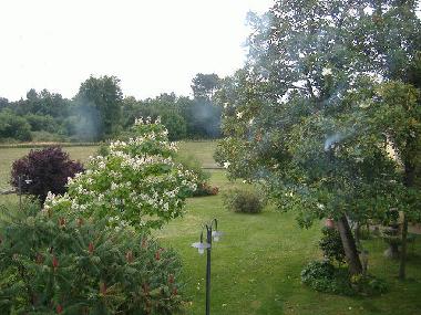 Maison de vacances /en/au Orentano (Pisa)ou appartement ou maison de vacances