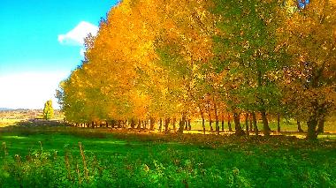 Maison de vacances /en/au Terriente (Teruel)ou appartement ou maison de vacances