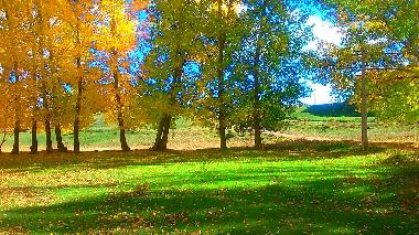 Maison de vacances /en/au Terriente (Teruel)ou appartement ou maison de vacances