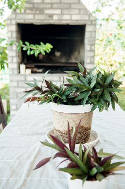 Maison de vacances �/en/au Costa Rica (Puntarenas)ou appartement ou maison de vacances