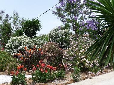 Maison de vacances /en/au Almogia (Mlaga)ou appartement ou maison de vacances