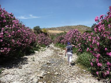 Maison de vacances /en/au Almogia (Mlaga)ou appartement ou maison de vacances