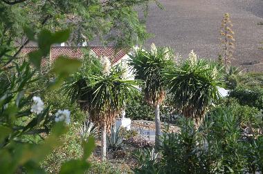 Maison de vacances /en/au Almogia (Mlaga)ou appartement ou maison de vacances