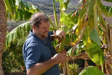 Maison de vacances /en/au Almogia (Mlaga)ou appartement ou maison de vacances