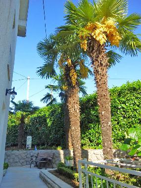 Maison de vacances /en/au Matulji  (Primorsko-Goranska)ou appartement ou maison de vacances