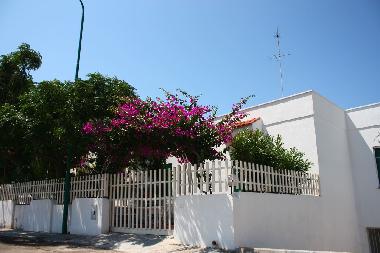 Appartement de vacances �/en/au Torre Suda (Lecce)ou appartement ou maison de vacances