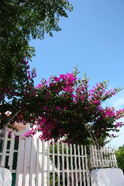 Appartement de vacances �/en/au Torre Suda (Lecce)ou appartement ou maison de vacances