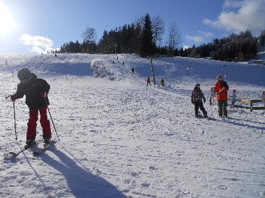 Appartement de vacances /en/au Litschau (Waldviertel)ou appartement ou maison de vacances