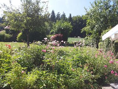 Maison de vacances /en/au 93179 (Oberpfalz)ou appartement ou maison de vacances