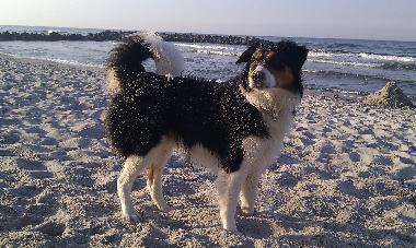 Appartement de vacances �/en/au Sch�nberg (Ostsee-Festland)ou appartement ou maison de vacances