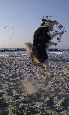 Appartement de vacances �/en/au Sch�nberg (Ostsee-Festland)ou appartement ou maison de vacances