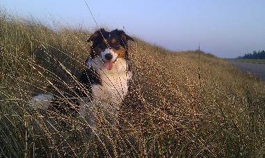 Appartement de vacances �/en/au Sch�nberg (Ostsee-Festland)ou appartement ou maison de vacances