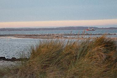 Appartement de vacances �/en/au Sch�nberg (Ostsee-Festland)ou appartement ou maison de vacances