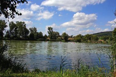 Appartement de vacances /en/au Aidhausen Friesenhausen (Unterfranken)ou appartement ou maison de vacances