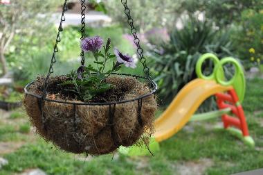 Maison de vacances /en/au Duce (Splitsko-Dalmatinska)ou appartement ou maison de vacances