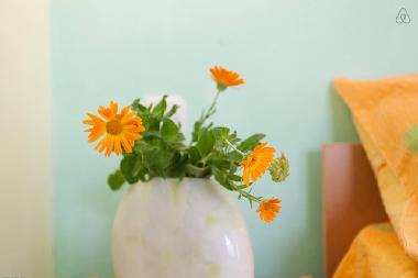 Appartement de vacances �/en/au Pestani (Ohrid)ou appartement ou maison de vacances