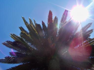 Appartement de vacances /en/au Dolcedo (Imperia)ou appartement ou maison de vacances