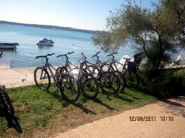 Appartement de vacances /en/au Novigrad (Istarska)ou appartement ou maison de vacances