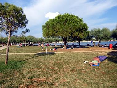 Appartement de vacances /en/au Novigrad (Istarska)ou appartement ou maison de vacances