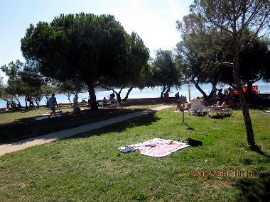 Appartement de vacances �/en/au Novigrad (Istarska)ou appartement ou maison de vacances