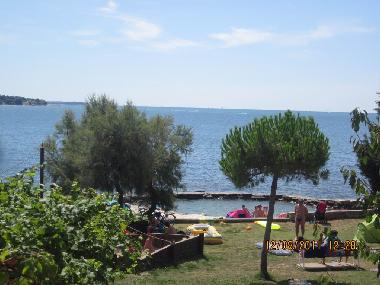 Appartement de vacances /en/au Novigrad (Istarska)ou appartement ou maison de vacances