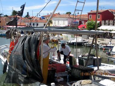 Appartement de vacances /en/au Novigrad (Istarska)ou appartement ou maison de vacances