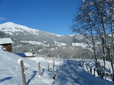 Appartement de vacances /en/au Krimml (Pinzgau-Pongau)ou appartement ou maison de vacances