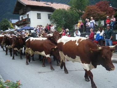 Appartement de vacances /en/au Krimml (Pinzgau-Pongau)ou appartement ou maison de vacances