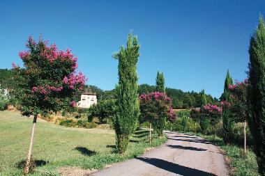 Maison de vacances �/en/au Melazzo (Alessandria)ou appartement ou maison de vacances