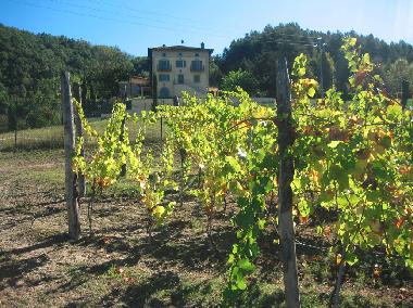 Maison de vacances �/en/au Melazzo (Alessandria)ou appartement ou maison de vacances
