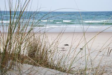 Maison de vacances /en/au Nonnevitz / Dranske (Ostsee-Inseln)ou appartement ou maison de vacances