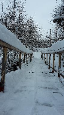 Chalet �/en/au Vistisoara (Brasov)ou appartement ou maison de vacances