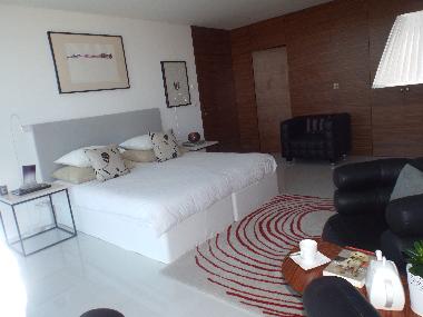 Maison de vacances /en/au viseu (Beira Interior Norte)ou appartement ou maison de vacances