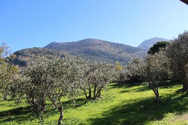 Maison de vacances �/en/au Torretta (Palermo)ou appartement ou maison de vacances