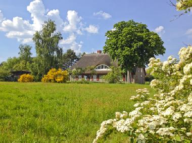 Maison de vacances /en/au Wieck (Fischland-Dar-Zingst)ou appartement ou maison de vacances