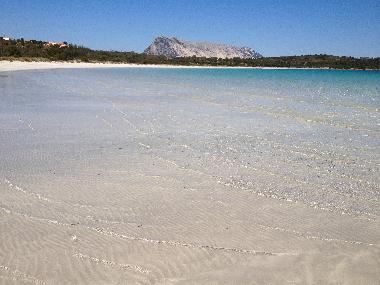 Maison de vacances /en/au San Teodoro (Olbia-Tempio)ou appartement ou maison de vacances