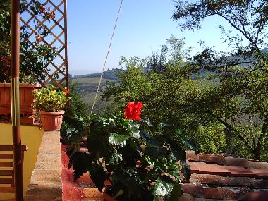 Chambre avec petit djeuner /en/au Scandicci (Firenze) (Firenze)ou appartement ou maison de vacances