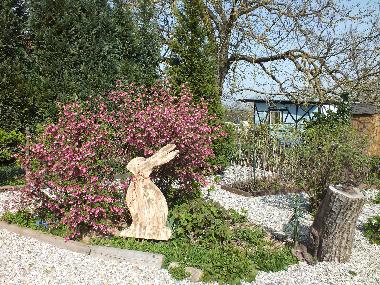 Appartement de vacances /en/au KUHLENDORF (Bas-Rhin)ou appartement ou maison de vacances