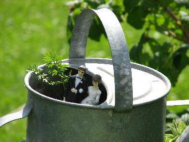 Appartement de vacances /en/au KUHLENDORF (Bas-Rhin)ou appartement ou maison de vacances