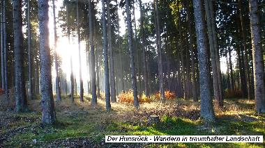Chambre avec petit djeuner /en/au Morbach-Wederath (Hunsrck - Nahe)ou appartement ou maison de vacances