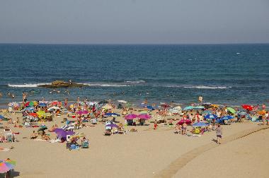 Villa /en/au Orihuela costa (Alicante / Alacant)ou appartement ou maison de vacances