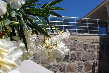 Maison de vacances /en/au Cesme-Germiyanyalisi (Izmir)ou appartement ou maison de vacances