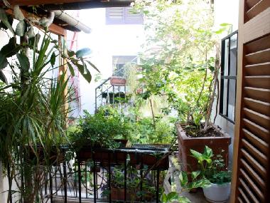 Appartement de vacances /en/au Rome (Roma)ou appartement ou maison de vacances