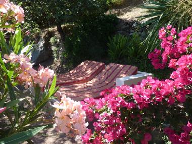 Appartement de vacances �/en/au Corbara  (Haute-Corse)ou appartement ou maison de vacances