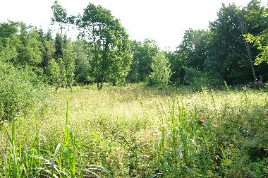Appartement de vacances /en/au Eutin Fissau (Holsteinische Schweiz)ou appartement ou maison de vacances