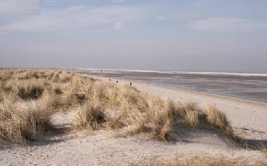 Appartement de vacances /en/au Wangerland (Nordsee-Festland / Ostfriesland)ou appartement ou maison de vacances
