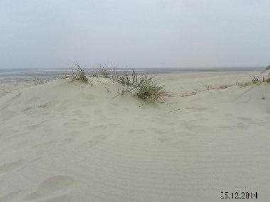 Appartement de vacances /en/au Wangerland (Nordsee-Festland / Ostfriesland)ou appartement ou maison de vacances