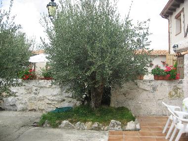 Maison de vacances �/en/au Canalejas de Pe�afiel (Valladolid)ou appartement ou maison de vacances